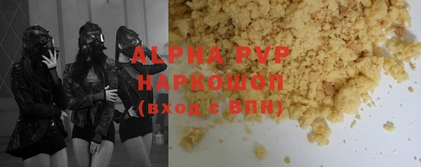 СК Волоколамск