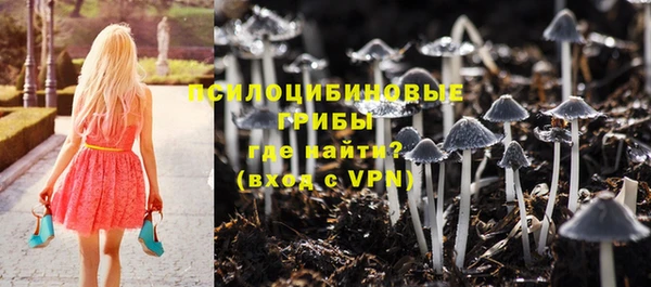 mdpv Валдай