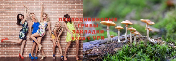 СК Волоколамск