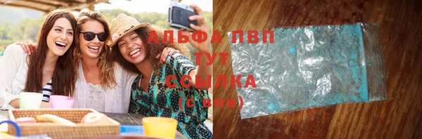 СК Волоколамск