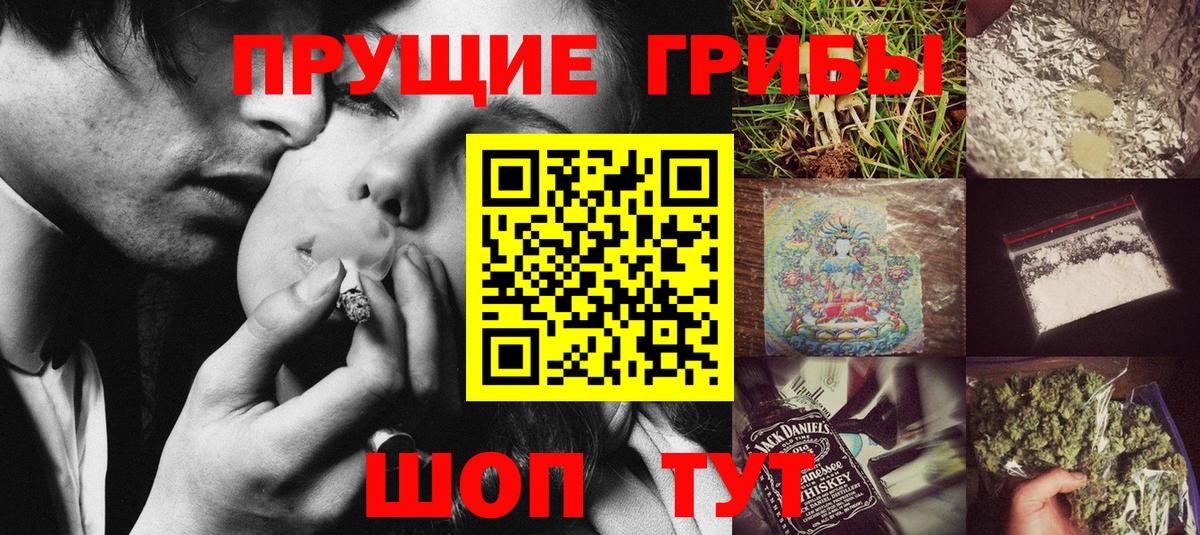 Вязьма  Псилоцибиновые грибы Cubensis  Вход с VPN 