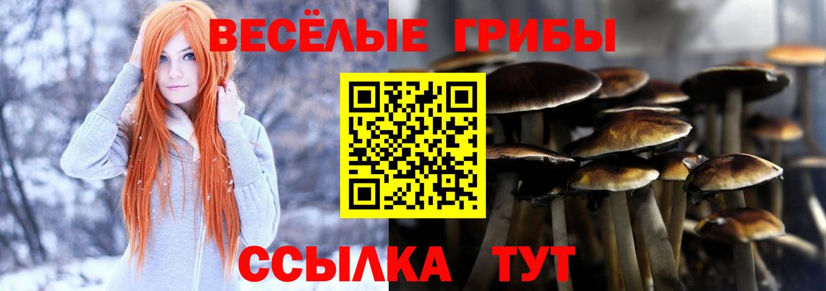 Псилоцибиновые грибы ЛСД Вязьма
