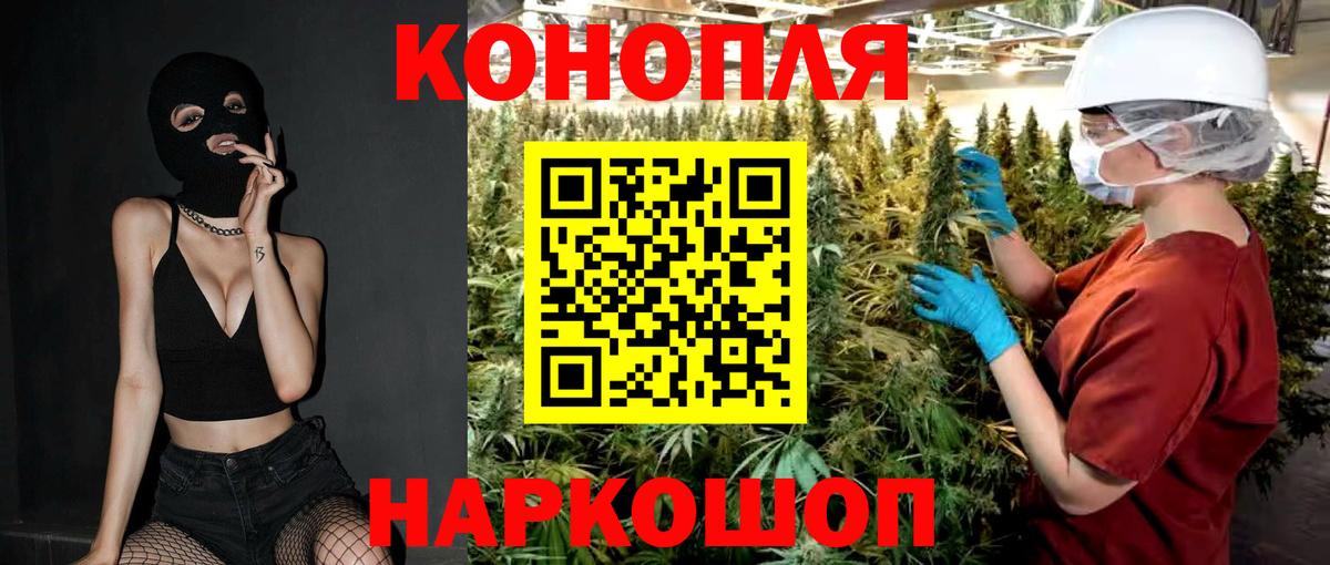 Бошки Шишки планчик Вязьма